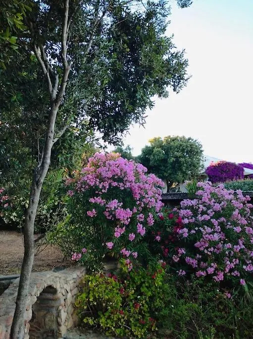 Villa Anna Maria Porto Rafael